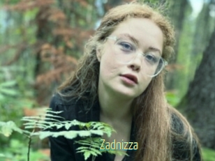 Zadnizza