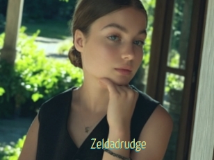Zeldadrudge