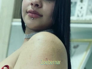Zoebernar