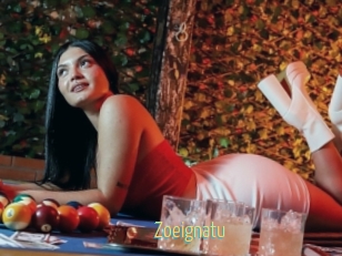 Zoeignatu